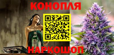 стаф Гагарин
