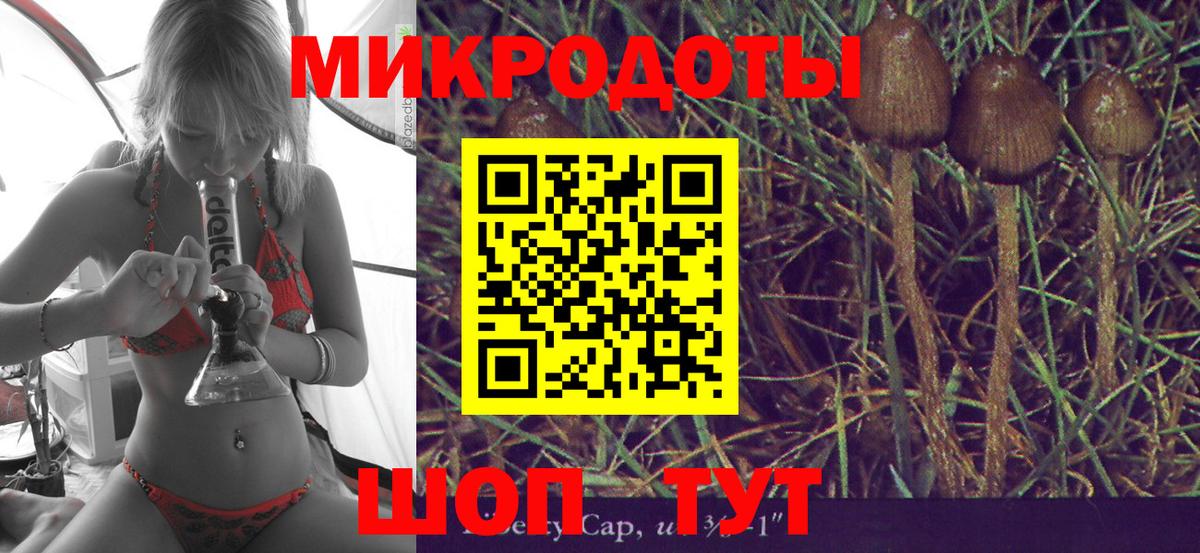 Галлюциногенные грибы GOLDEN TEACHER  Вход с VPN  Моздок  Галлюциногенные грибы Magic Shrooms 